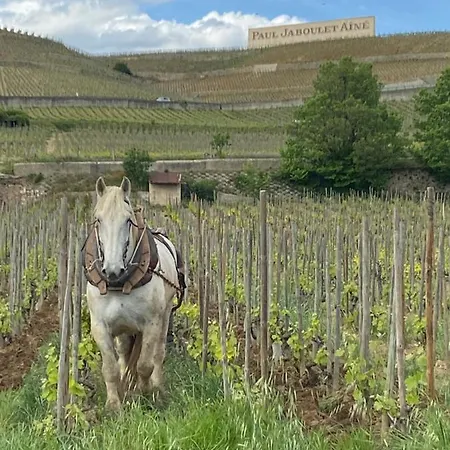 Le Pavillon De L'hermitage - *